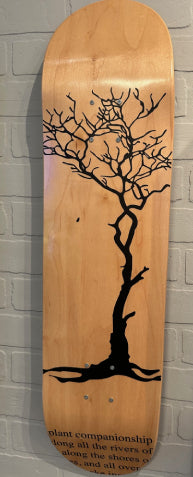 Custom Skateboard Deck - Wall Art